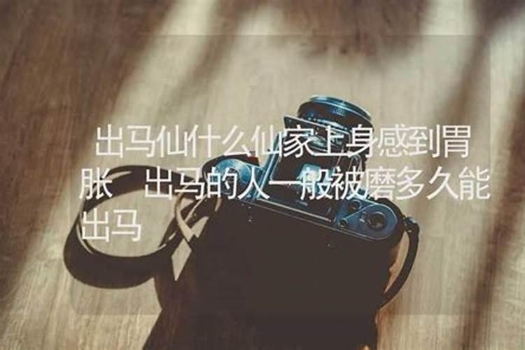 2025不适合结婚的属相是什么