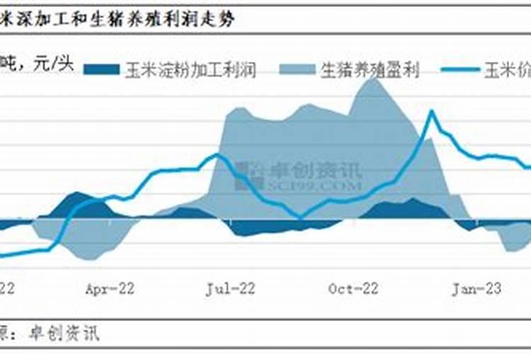 弘法寺的方丈介绍