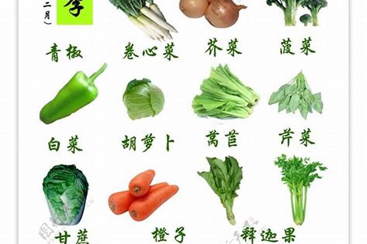 立冬和冬至哪天吃饺子