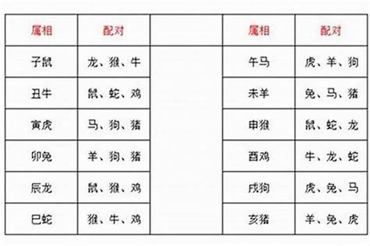 男虎与什么相配婚姻如何 属虎和什么属相最配
