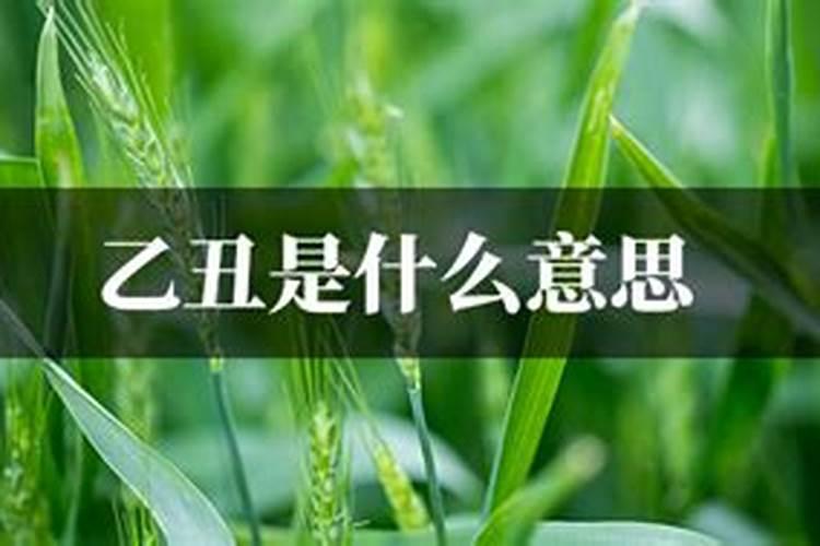 乙丑是啥意思 乙丑是什么意思