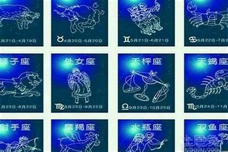 属猪的人命好
