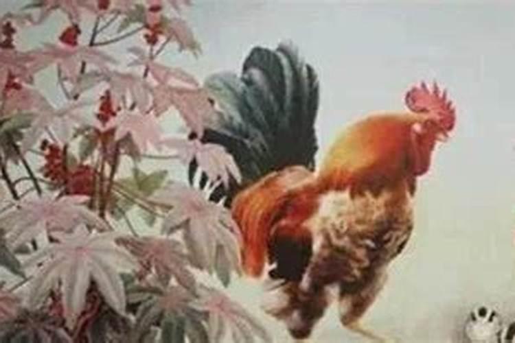 属狗的明年犯太岁怎么办,属狗的人犯太岁怎么化解