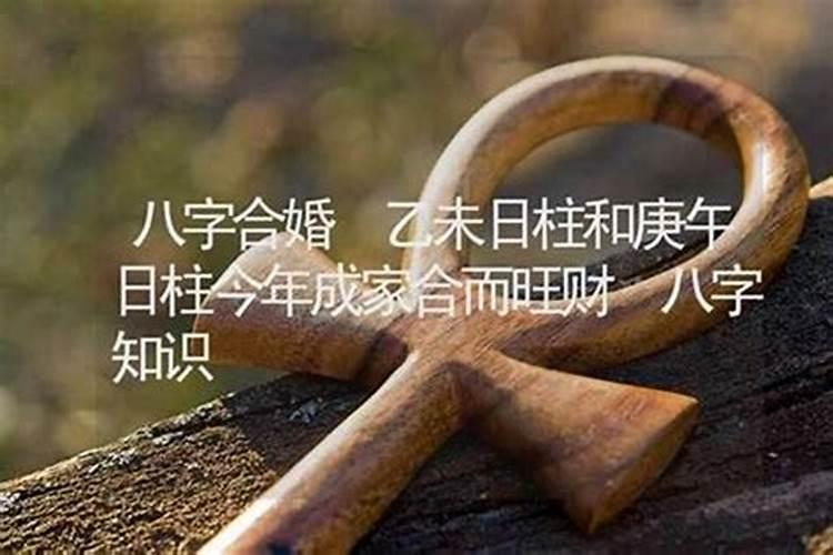 属狗的冲太岁年份,属狗的什么时候犯太岁