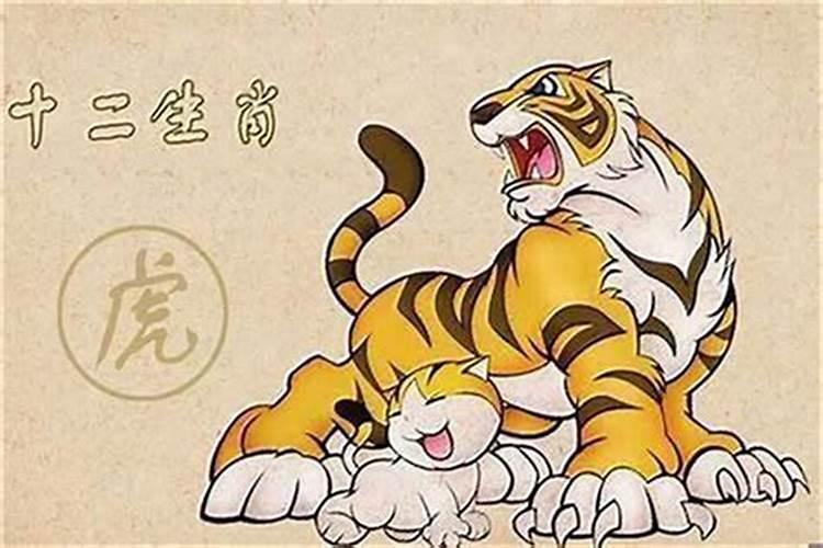 牛和虎婚姻相配吗 财运如何？