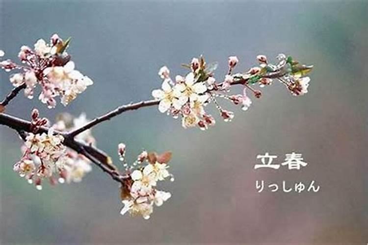 2024年正月初一属什么生肖 立春后几天是属龙还是属兔
