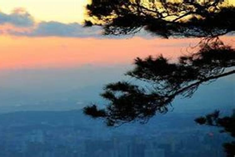 2025犯太岁虎颜色旺