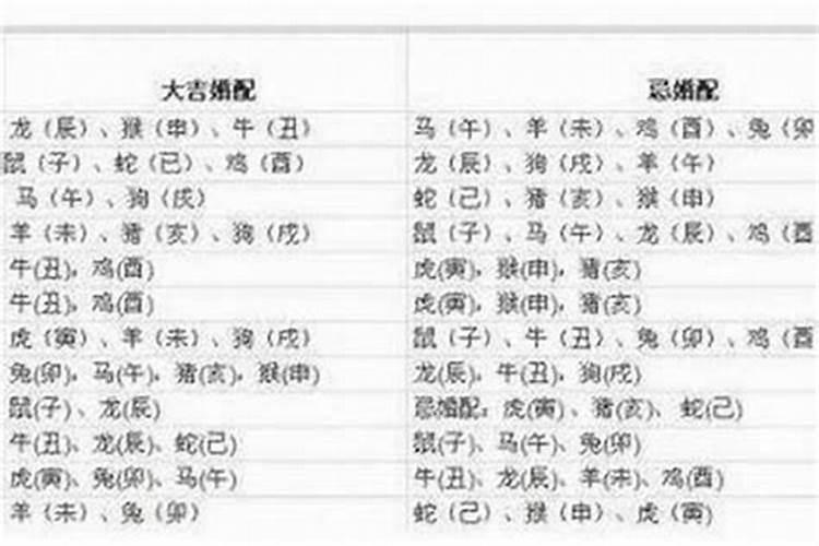 属狗的跟什么属相最配？