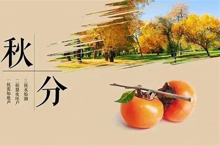 十大高学历日柱