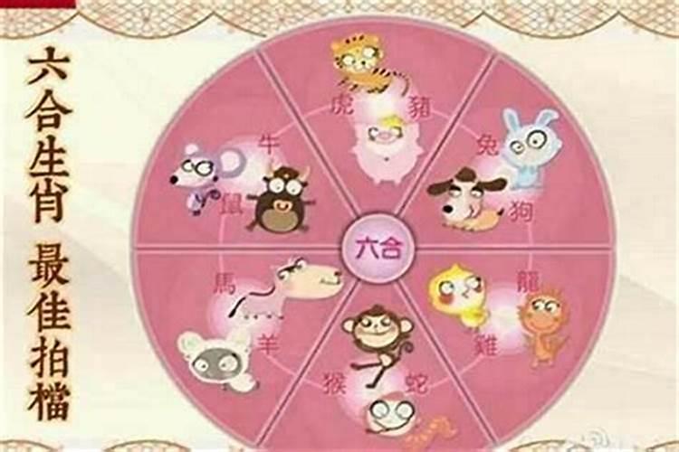 96年属鼠2025年运势