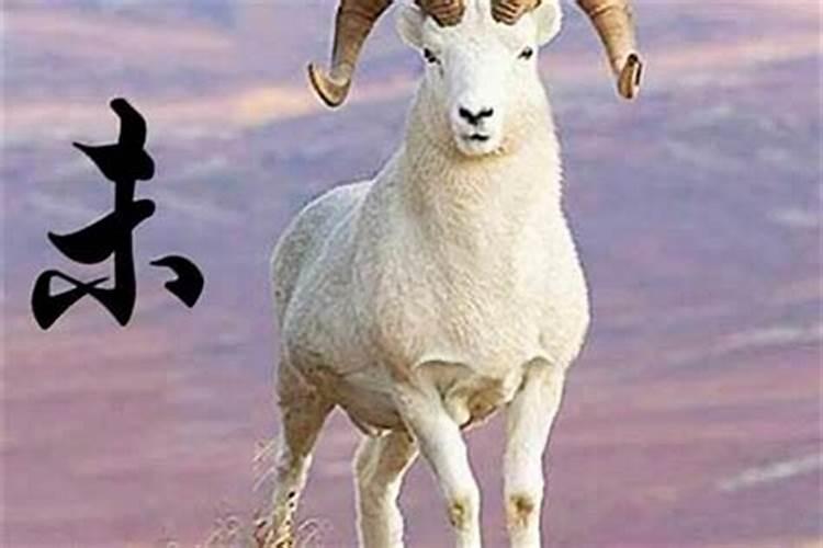 2025年属猪的全年运势