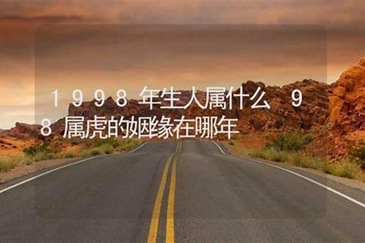 明年属什么年2025属什么年