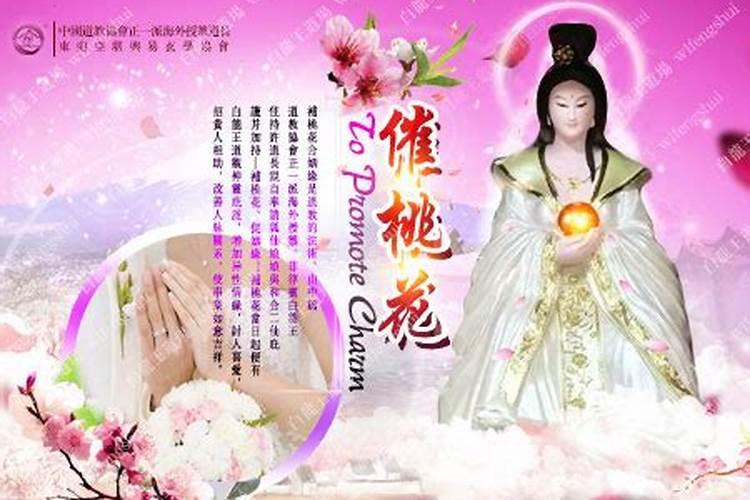 2025年5月28日属什么