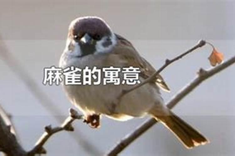 1978农历11月19日晚上两点左右的命运是什么