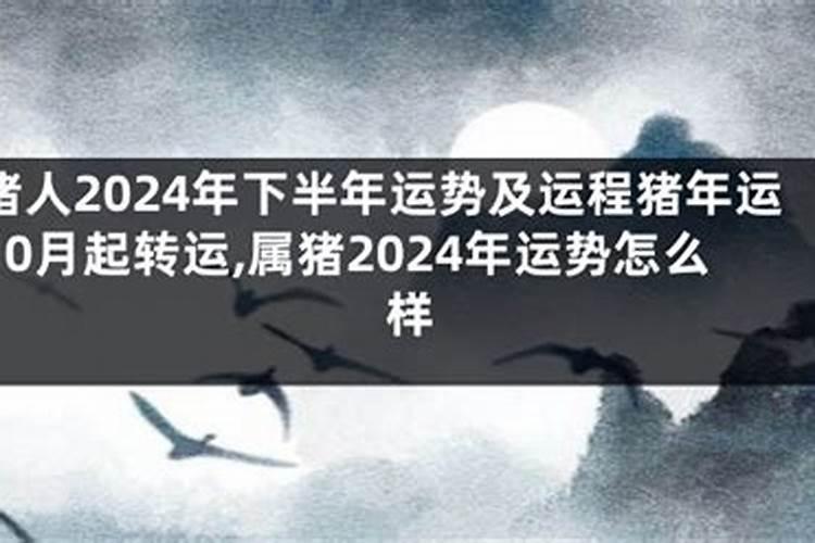 生肖猪1971年2025年运势如何 生肖猪1971年2025年全年运势