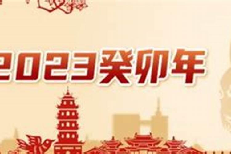 属蛇的人今年运气
