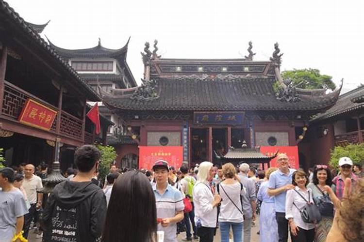 见过这样放生的吗？