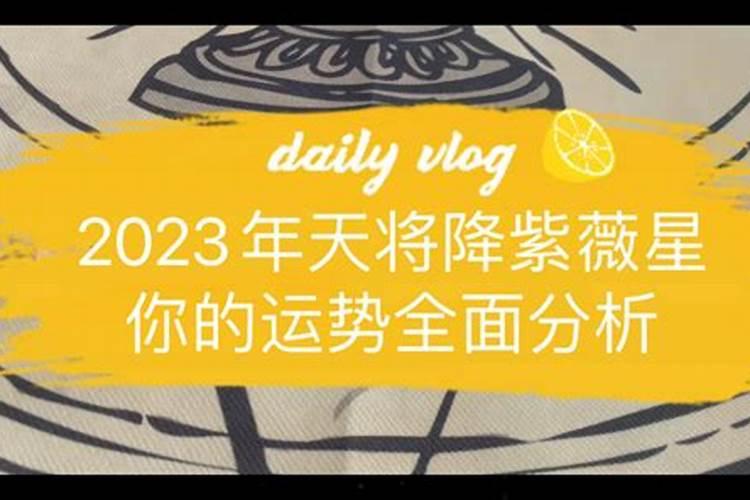 2024年九紫离火年什么意思