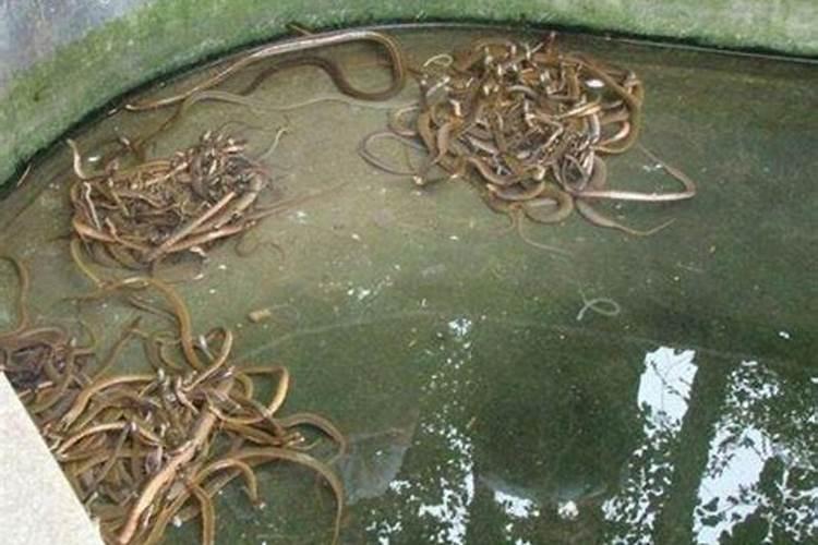 父母缘薄是什么意思