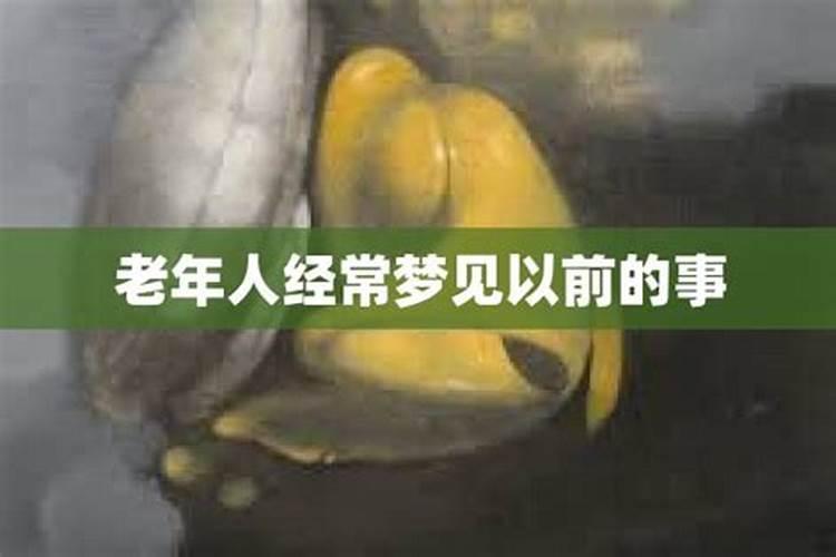二月出生属蛇人的运势