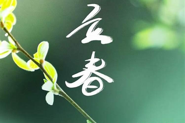 77年属蛇人阴历正月十九日午时生人今年运程