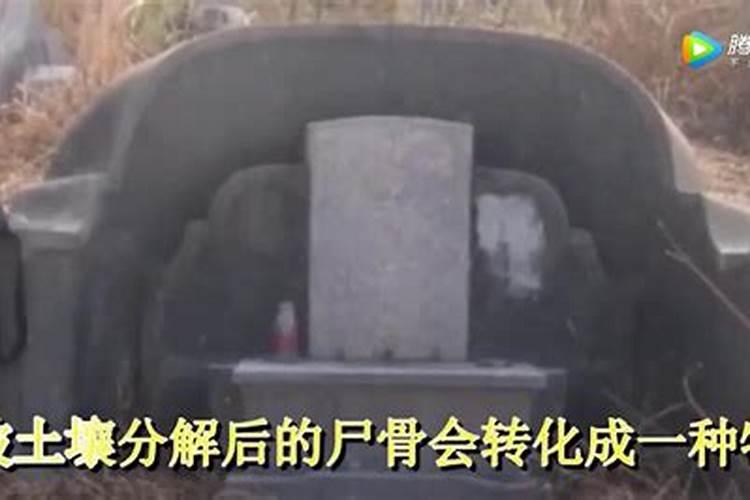 阴宅风水为什么会对后代有影响