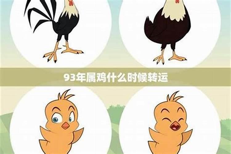 属鸡女人在2025年的详细运势