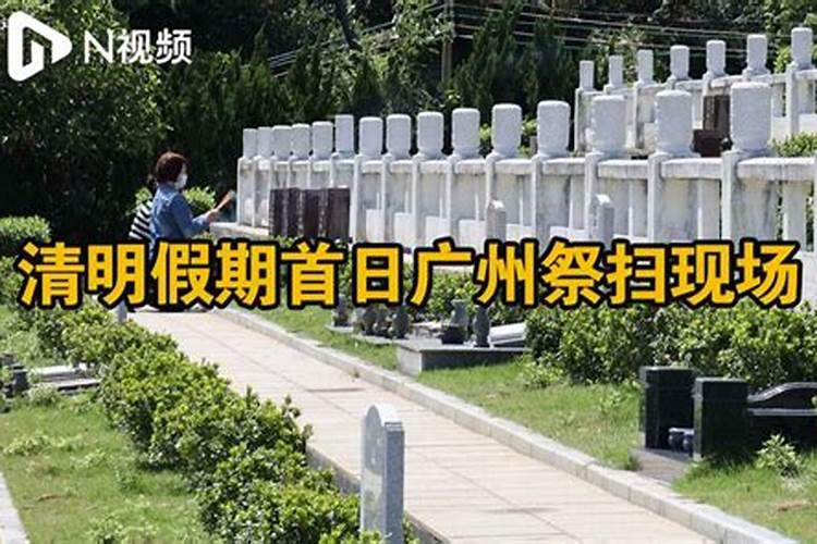 90年属马2025全年运势和运程如何