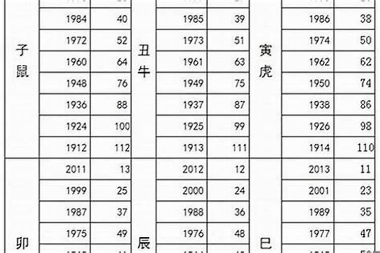 属猪的今年多大2024年 属猪的今年多大年纪2024年