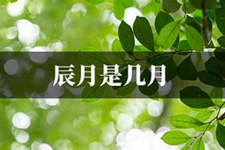 十天干里丙火命的人生于三月(辰月)详解