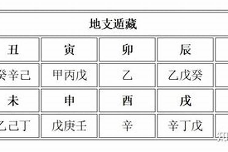八字地支藏干是什么意思 象征着人元？