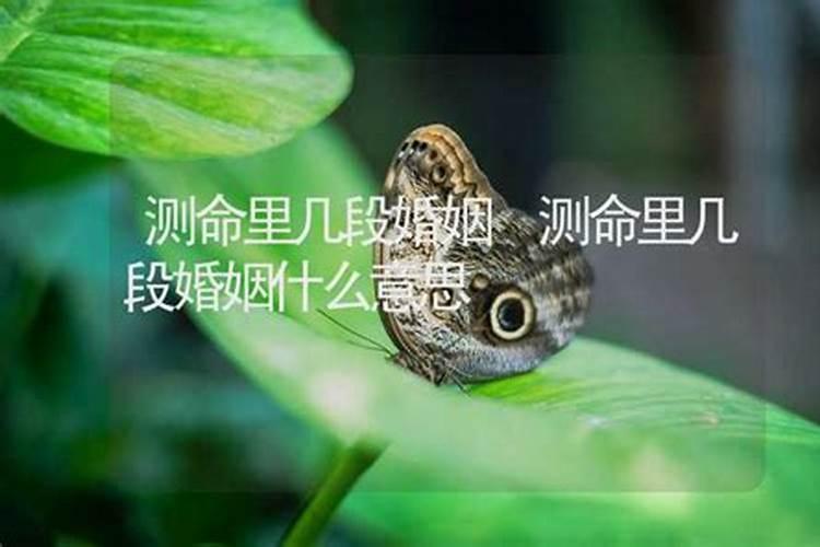 八字看你一生有几次婚姻？