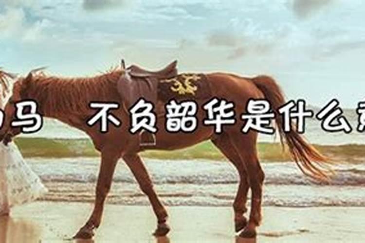 七七四十九天有何寓意