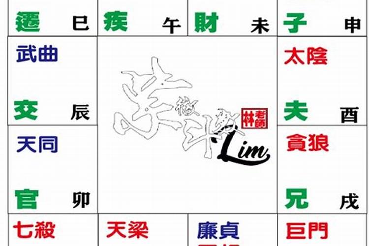 命宫辛亥是什么意思？