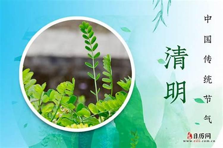 2025年清明节说法