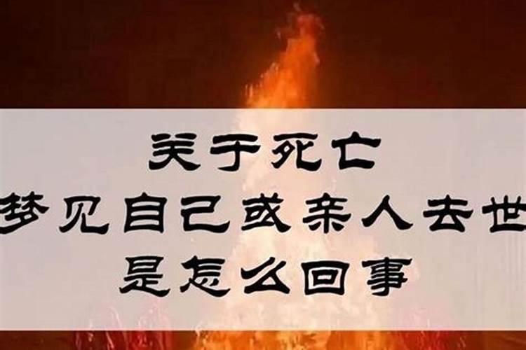 双子座与双子座配吗配对指数分析