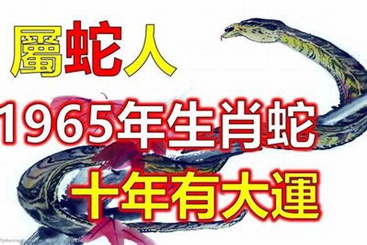 2024年1965蛇今年有一难 如何化解命中劫难