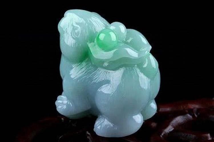 官运养什么花最旺财