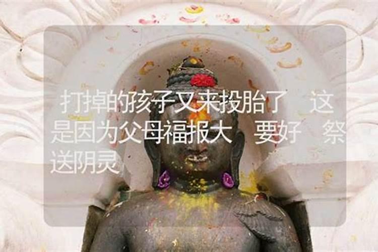 属兔和属龙八字合吗,婚姻好不好？