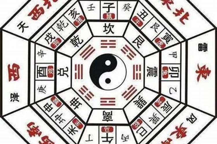 六月属马的人命运如何