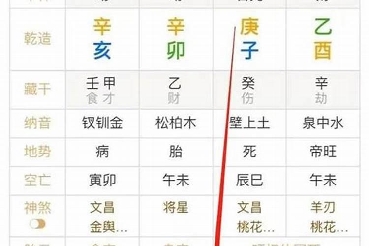 八字里的养是什么意思？