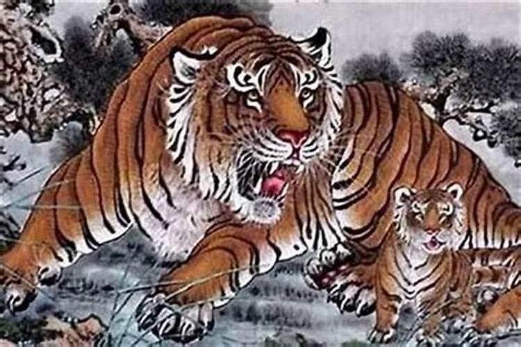 猪和虎在一起大忌