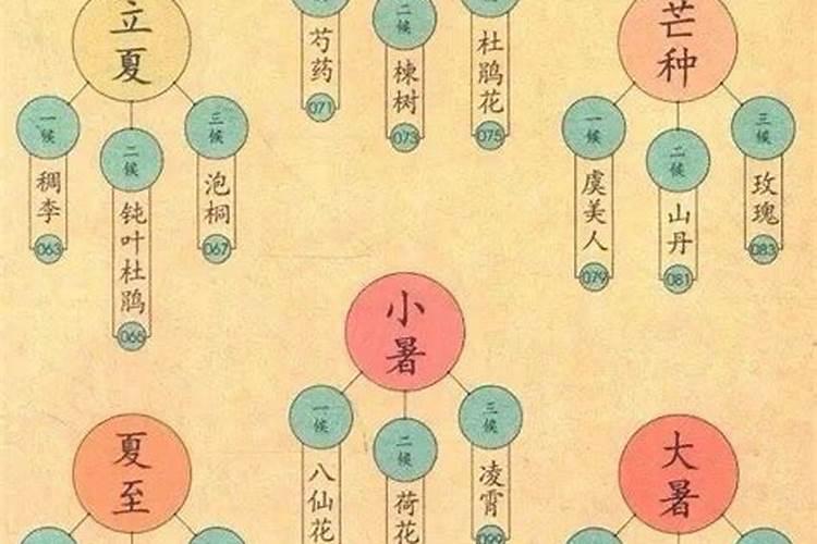 我怀疑老公出轨就去算卦了,算卦的说他出轨了我回来就逼问他,他很生气...