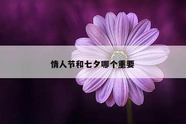 1976年属龙女2025年运势
