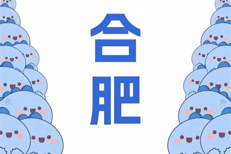 80年属猴人在2025年的每月运势