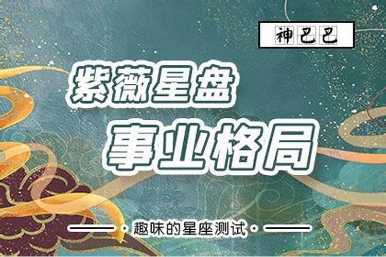 高手解读紫薇命盘？事业、婚姻、子女、财运？