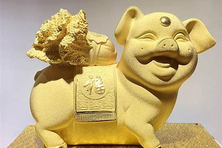 83年属猪人交9年大运,2022 年属猪交运忌讳什么