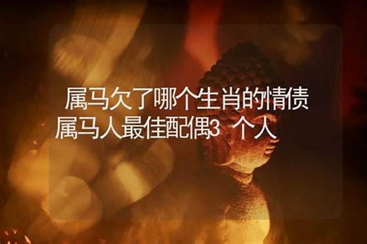 属马的和什么属相最是最佳婚配
