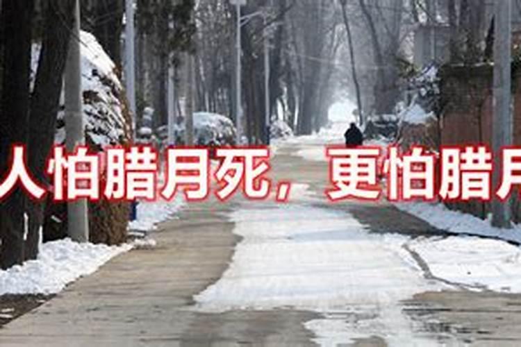 属猴的财运不好怎么办