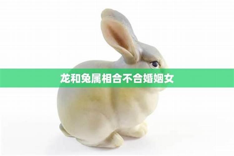 99年兔和00年龙相配吗,八字不合能结婚吗？